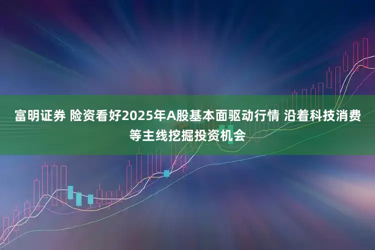富明证券 险资看好2025年A股基本面驱动行情 沿着科技消费等主线挖掘投资机会