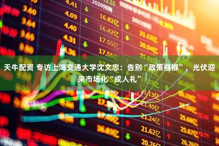 天牛配资 专访上海交通大学沈文忠：告别“政策襁褓”，光伏迎来市场化“成人礼”